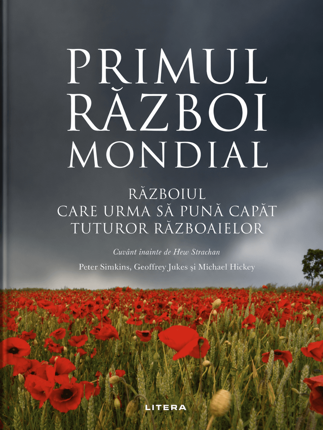 Primul Război Mondial: războiul care urma să pună capăt tuturor războaielor