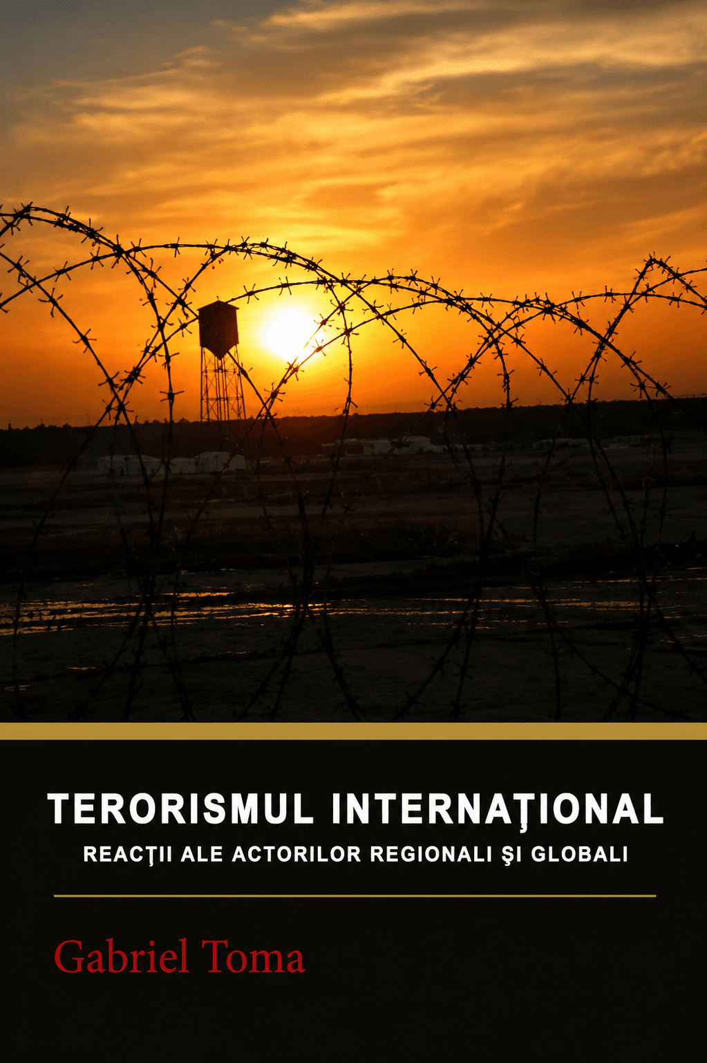 Terorismul Internațional: Reacții ale actorilor regionali și globali